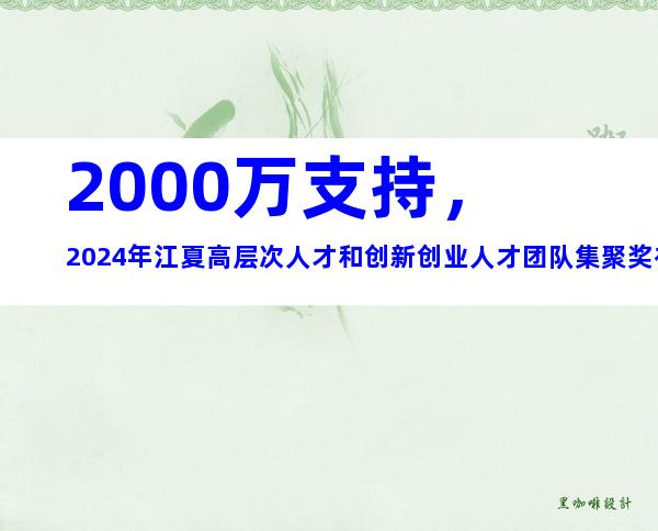 2000万支持，2024年江夏高层次人才和创新创业人才团队集聚奖补措施申报指南
