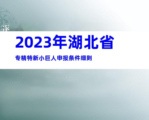 2023年湖北省专精特新小巨人申报条件细则