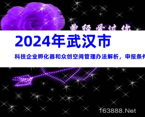 2024年武汉市科技企业孵化器和众创空间管理办法解析，申报条件、流程