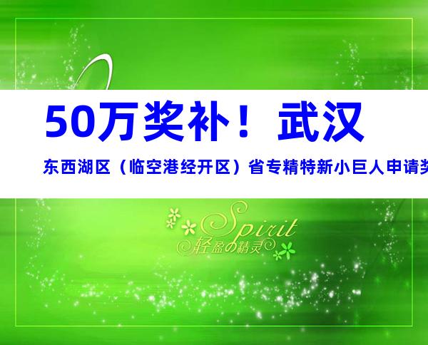 50万奖补！武汉东西湖区（临空港经开区）省专精特新小巨人申请奖励及申请条件