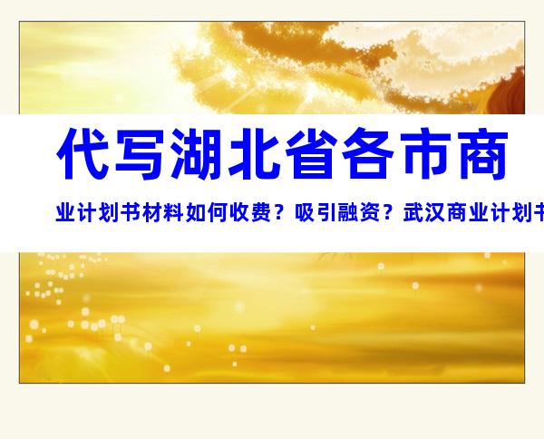 代写湖北省各市商业计划书材料如何收费？吸引融资？武汉商业计划书编写模板