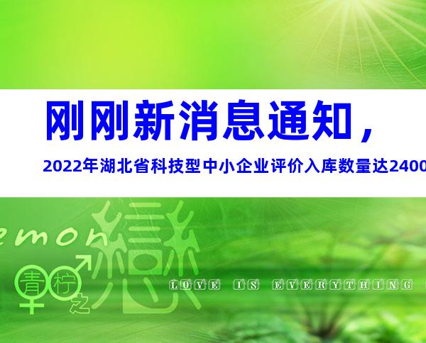 刚刚新消息通知，2022年湖北省科技型中小企业评价入库数量达24005家，较2021年新增近1万家，跃居全国第5，想要具体申请科小的企业单位