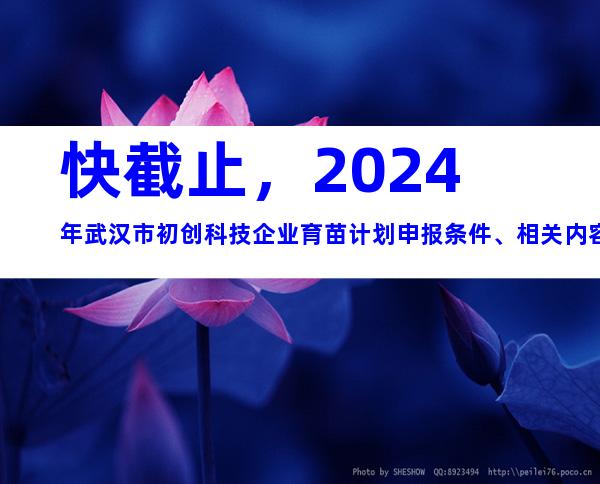 快截止，2024年武汉市初创科技企业育苗计划申报条件、相关内容