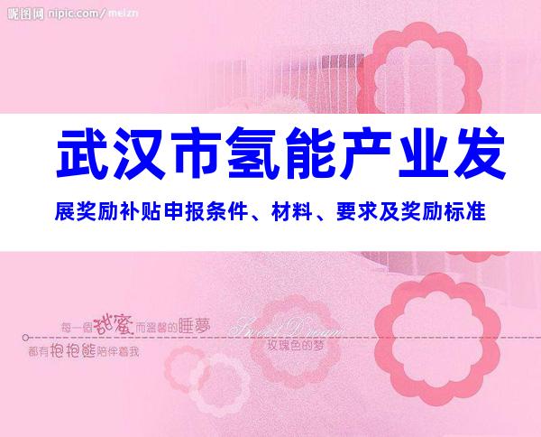 武汉市氢能产业发展奖励补贴申报条件、材料、要求及奖励标准