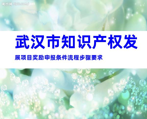 武汉市知识产权发展项目奖励申报条件流程步骤要求