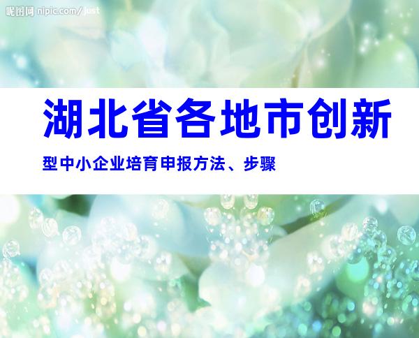 湖北省各地市创新型中小企业培育申报方法、步骤