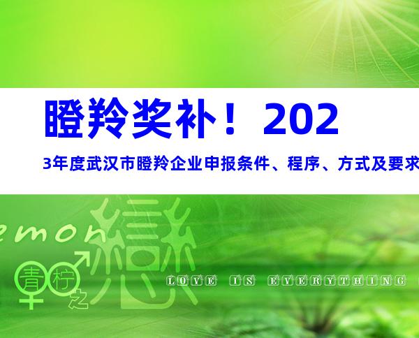 瞪羚奖补！2023年度武汉市瞪羚企业申报条件、程序、方式及要求