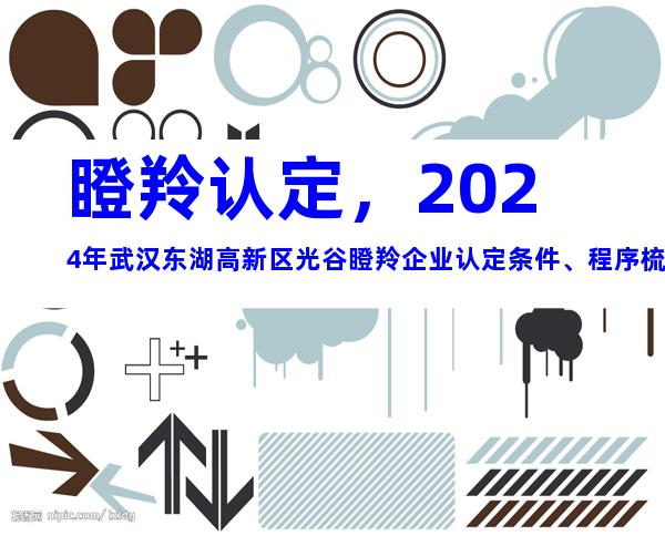 瞪羚认定，2024年武汉东湖高新区光谷瞪羚企业认定条件、程序梳理