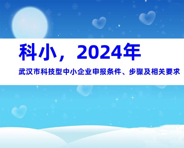 科小，2024年武汉市科技型中小企业申报条件、步骤及相关要求